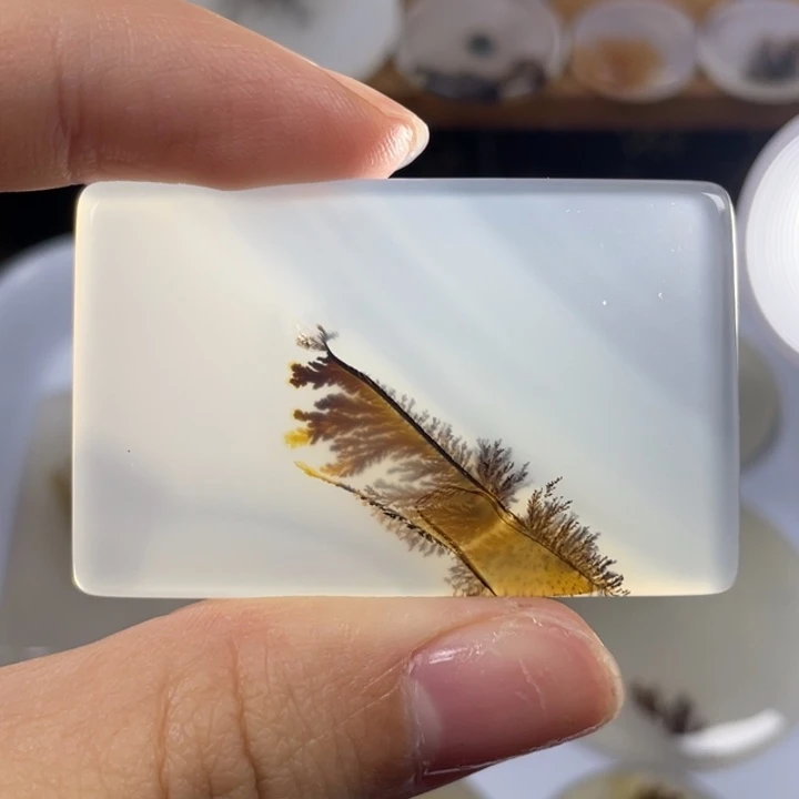 玛瑙/玉髓未镶嵌玛瑙象形福利款