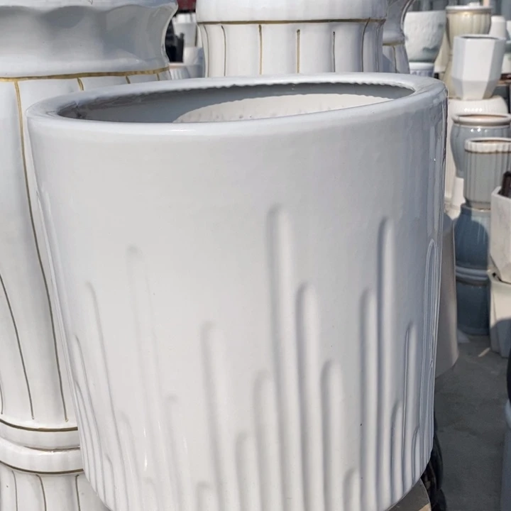 低腰白音符大号口33/36