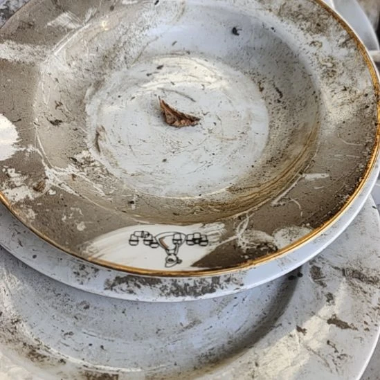 瓷金边盘子口径23