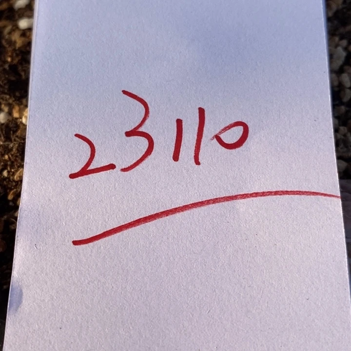 深***觉23110一组一组一组
