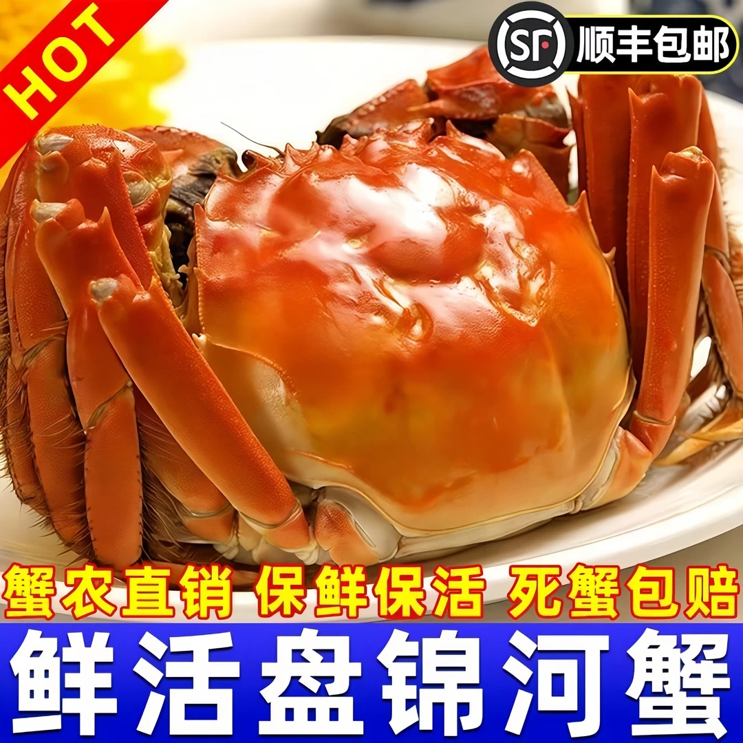 【活蟹】正宗盘锦河蟹 大公母蟹（1.6-1.3两）/只 国庆必备 顺丰包邮