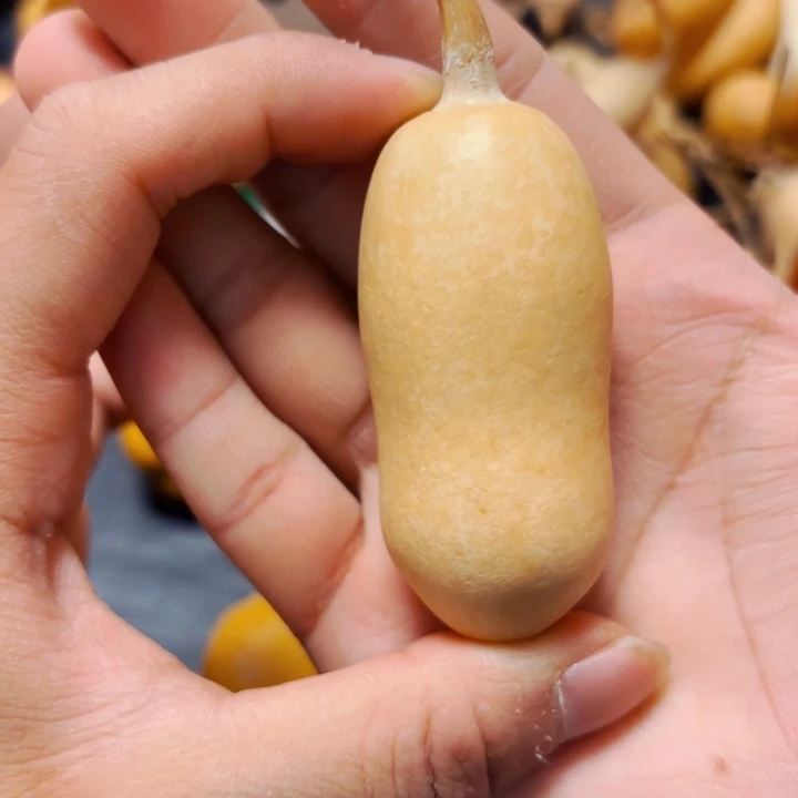 随****行8888888888888888888