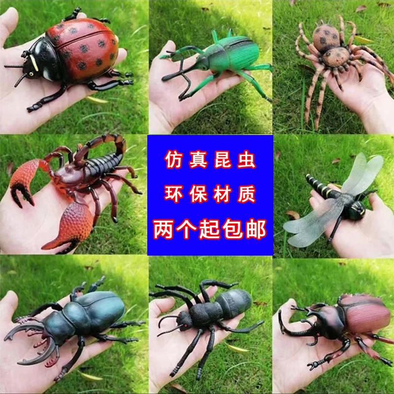 仿真昆虫世界模型整蛊玩具蟋蟀瓢虫蜘蛛蚂蚁蝎子益知科教