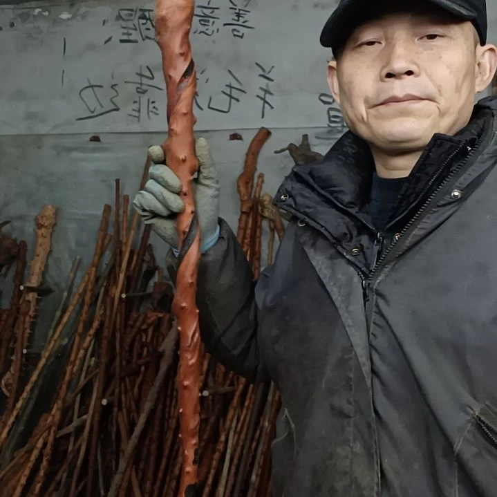 稳定木用****春贵州檬子木   铁马鞭   根艺  半成品