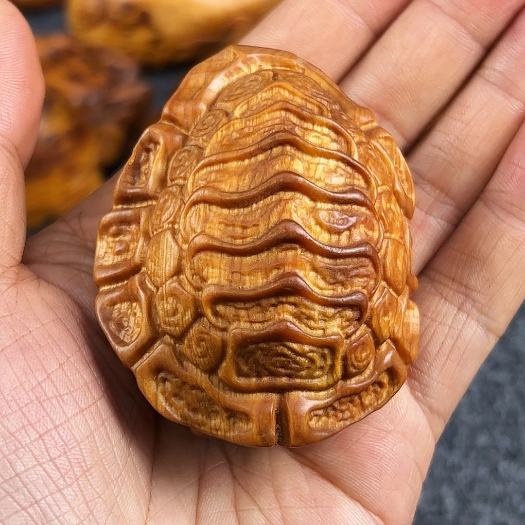 柏木太行崖柏黑骨溏心