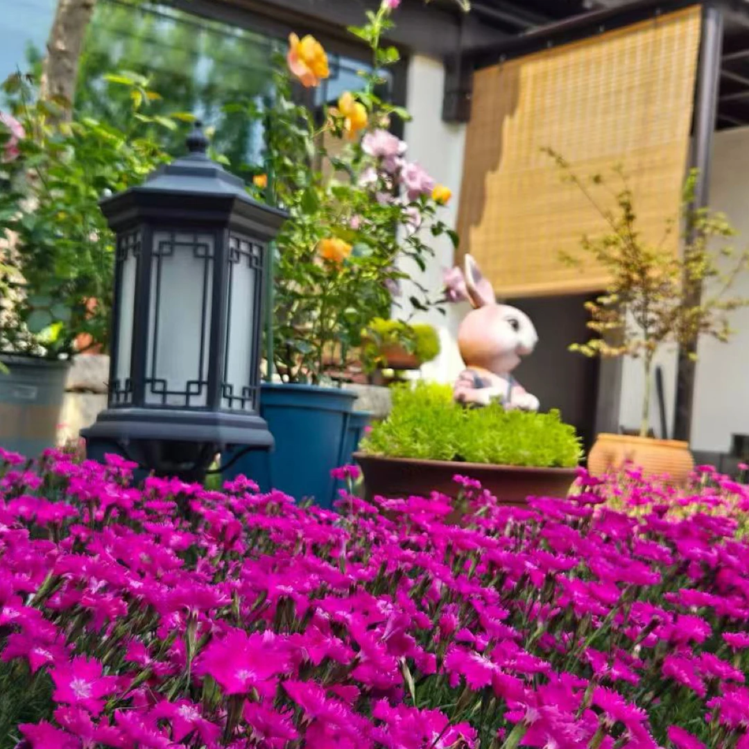 欧石竹户外防水园林景观草坪灯庭院灯花园别墅阳台