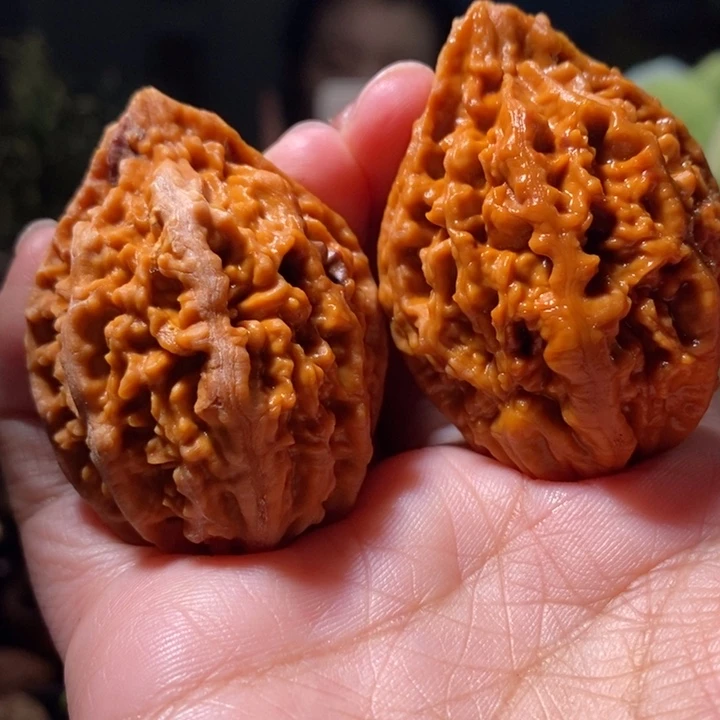 把件文玩核桃东北楸子小路 206