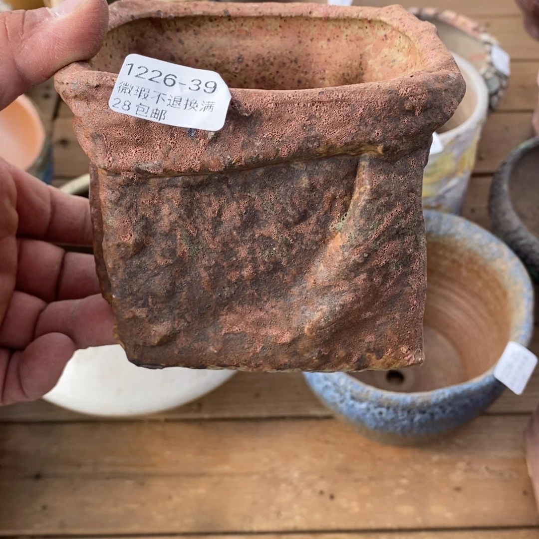 39号花盆内10高10