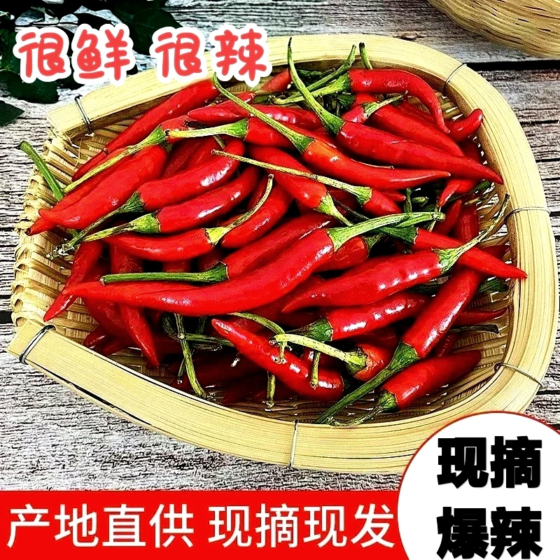 新鲜现摘特辣小米辣椒农家自种朝天椒辣椒批发可泡椒餐饮食材