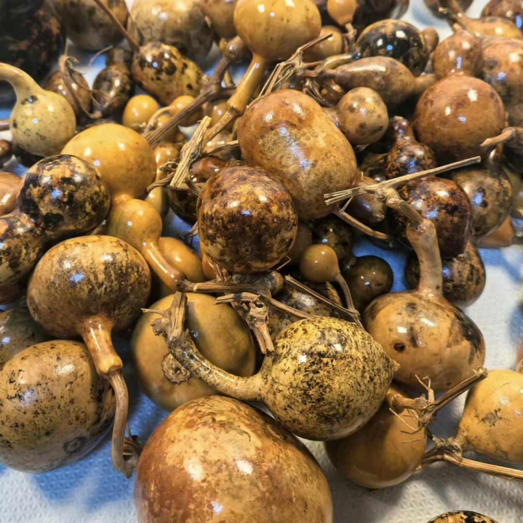 精品天然小葫芦摆件花皮葫芦