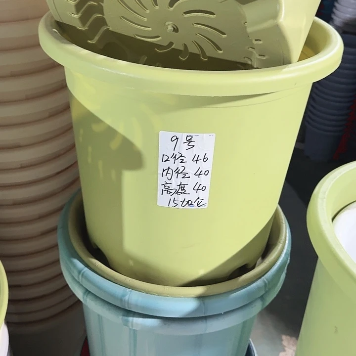 微瑕9#口径46果绿3个无托