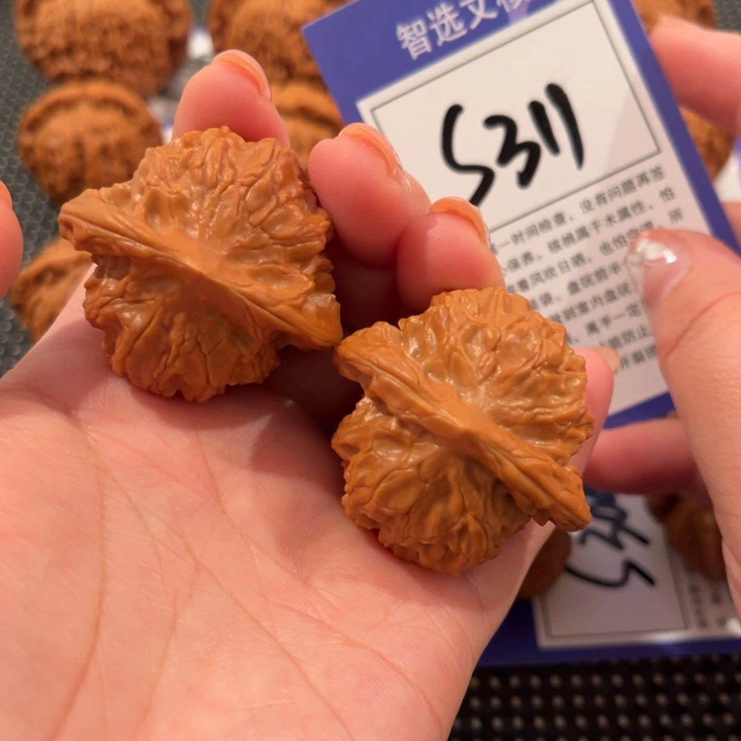 核桃S311号图图41尺
