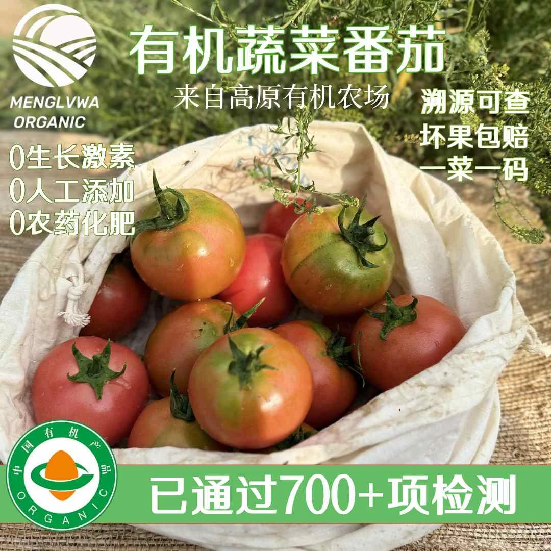 蒙绿娃【有机认证】有机菜西红柿沙瓤菜番茄 有机蔬菜番茄