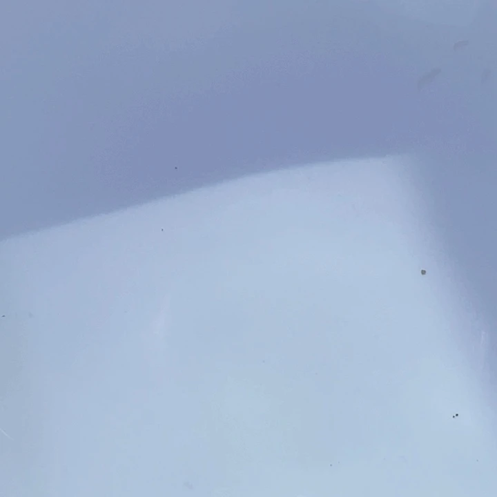 2***客海水鱼兰寿金鱼兰寿金鱼