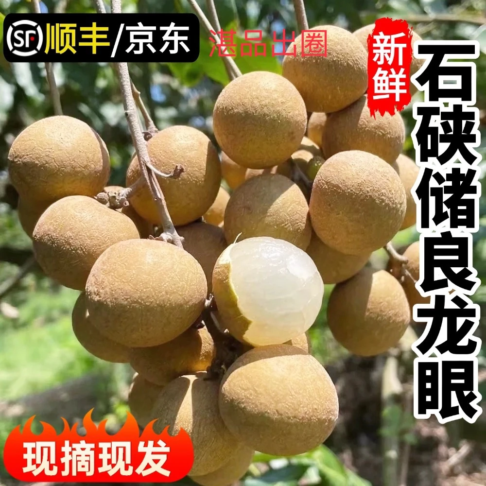 【顺丰直发】正宗茂名石峡龙眼现摘现发新鲜清甜肉厚饱满