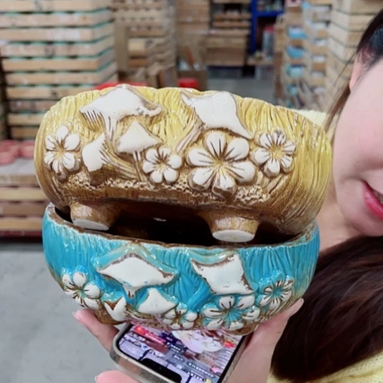 花盆凑单福利满10元发货！