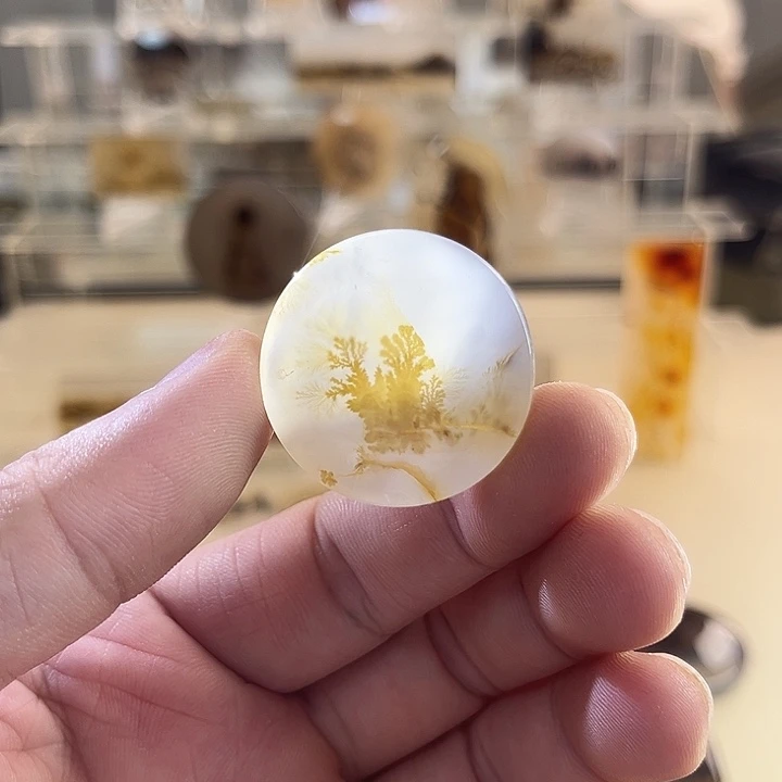 未镶嵌吊坠(不含链)玛瑙/玉髓