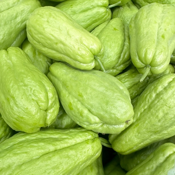 贵州佛手瓜高原兴义洋瓜孕妇吃阳瓜应季农家现摘福寿瓜棚瓜捧瓜