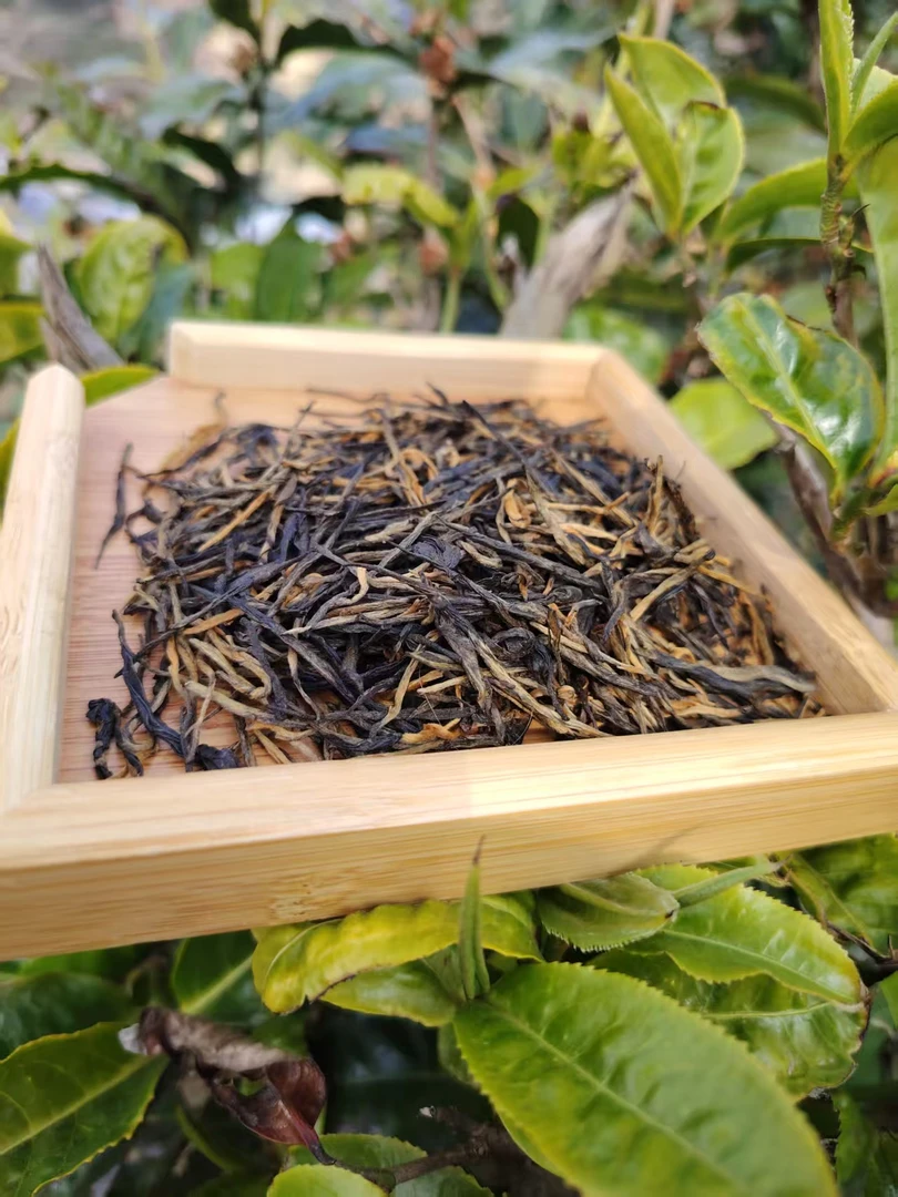 经典58凤庆高山红茶春茶