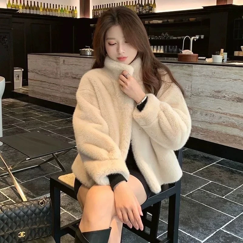 2025新款立领大衣女短款天鹅绒时尚简约冬季外套