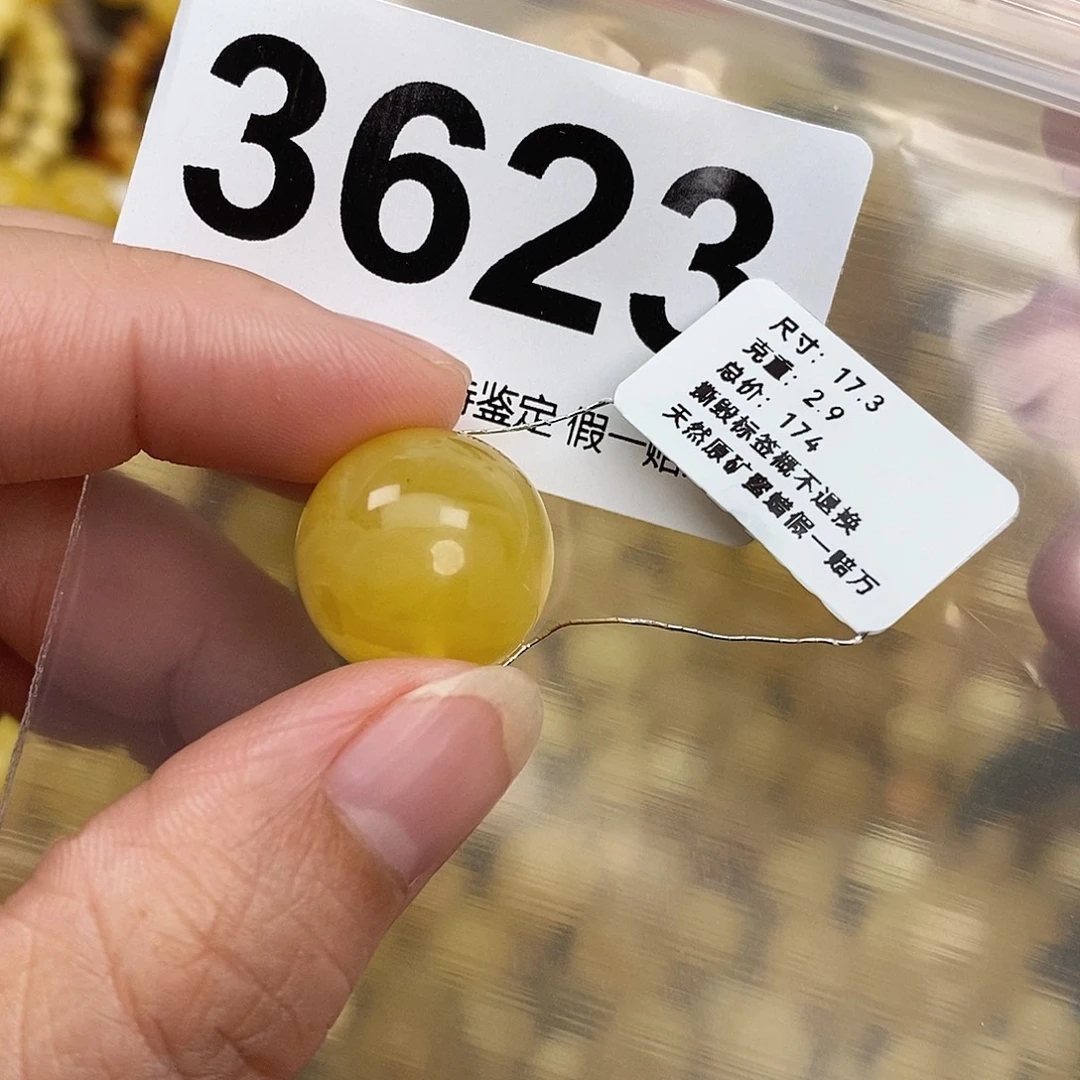 蜜蜡未镶嵌珠宝奇石17.3