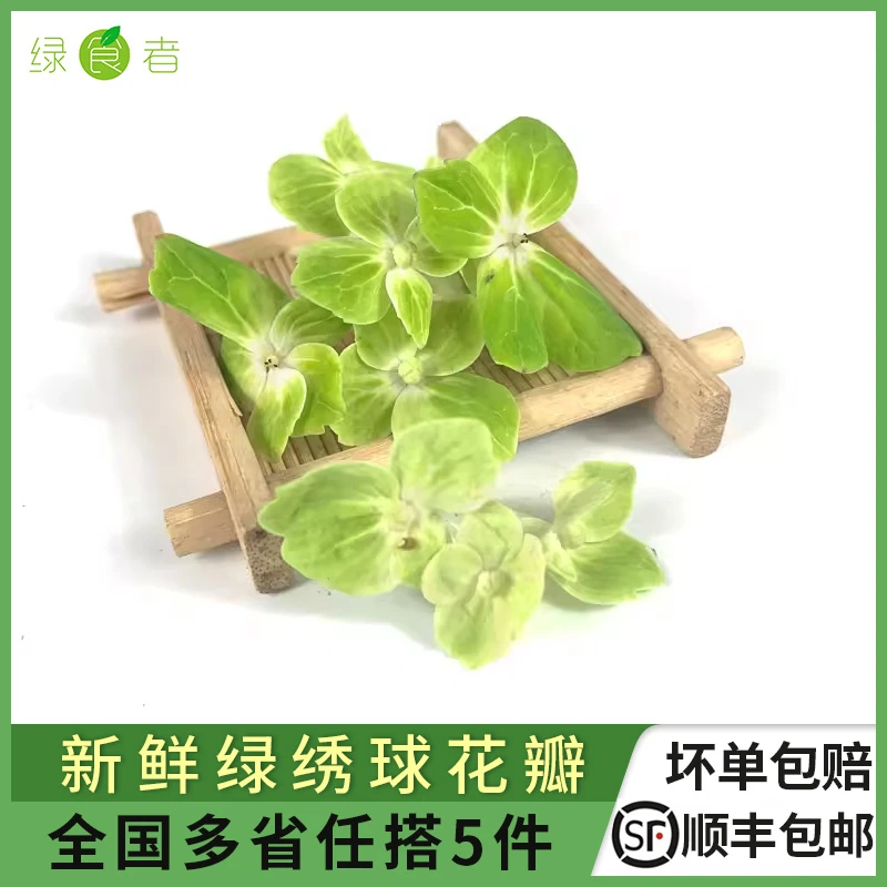 绿食者绿绣球花瓣1盒餐厅日料西餐鲜花装饰多省5件包邮浪漫七夕礼