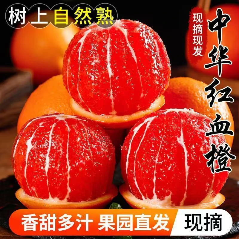 【吃红橙-走鸿运】秭归中华红橙子当季红心甜橙整箱四川春见耙耙柑