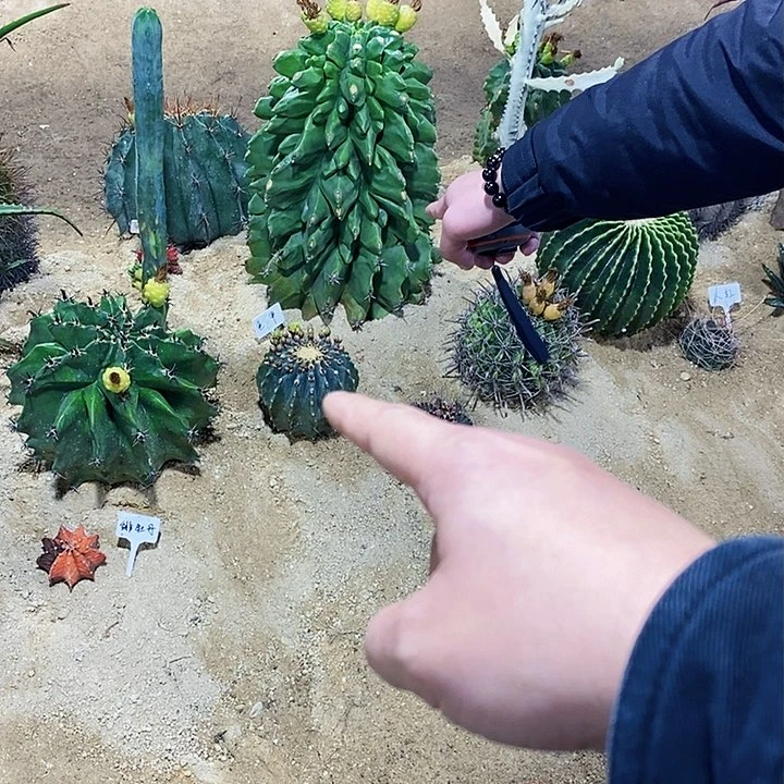 琴**视0000000000000000