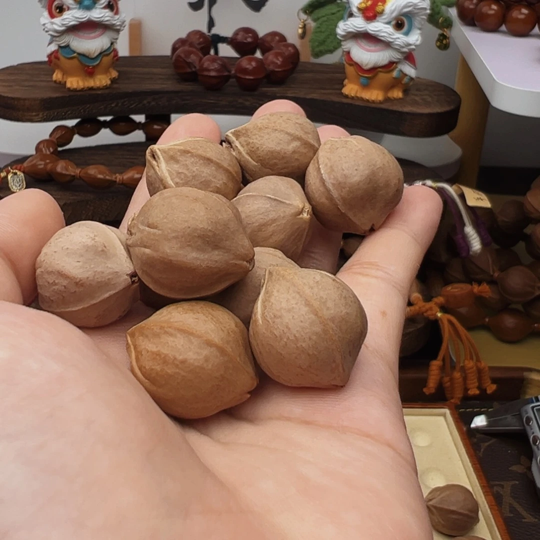 浩****橄榄核手串/手链梅林铁核20×24+三通素串鲨鱼背