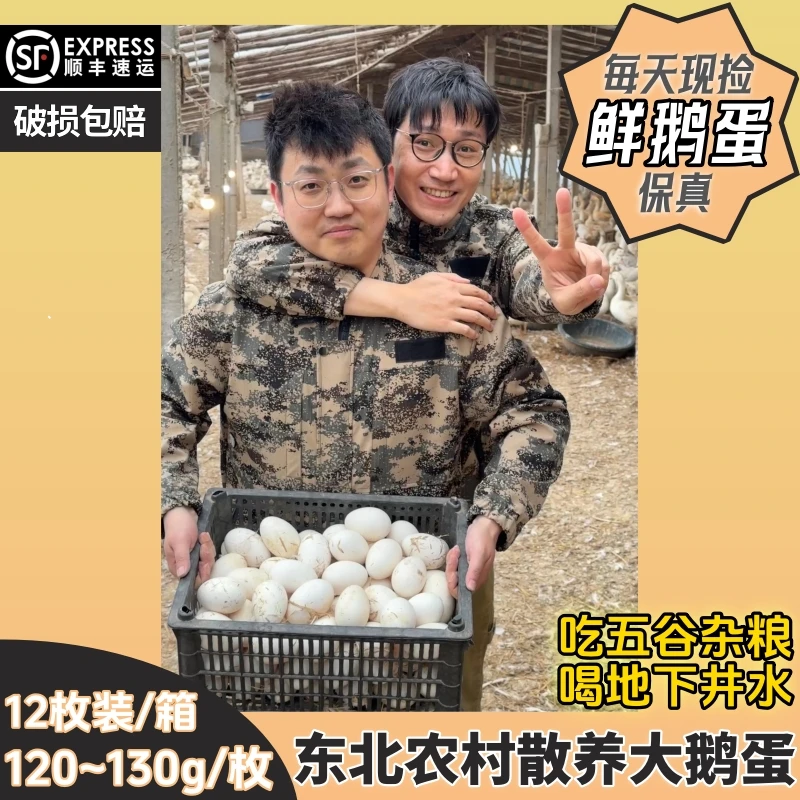 【顺丰包邮】125~140g/枚二两六左右/个真鹅蛋孕妈妈可吃农村鲜鹅蛋