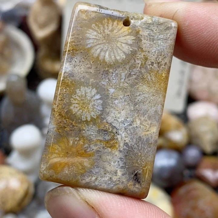 硅化珊瑚（珊瑚玉）未镶嵌颈饰有瑕