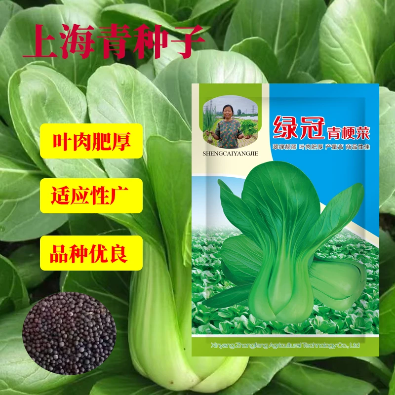 【杨姐推荐】绿冠青梗菜上海青种籽青菜小白菜阳台盆栽易种
