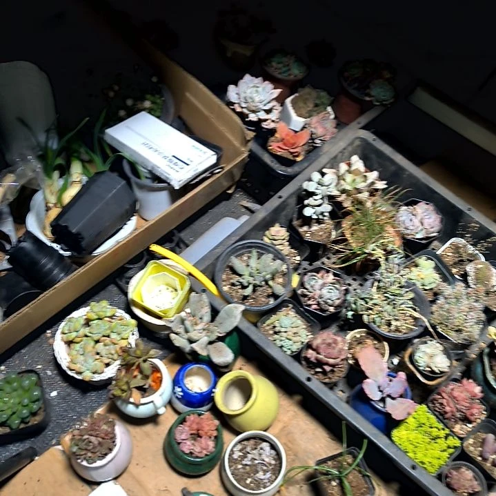 追*?满6元包邮，样品货一大框40无售后