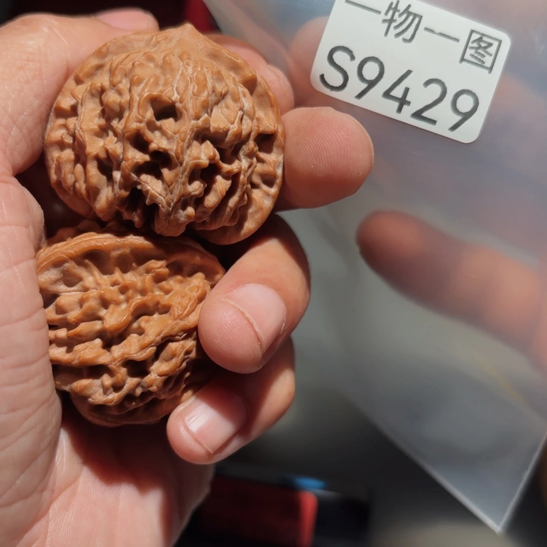 文玩核桃把件红珊瑚