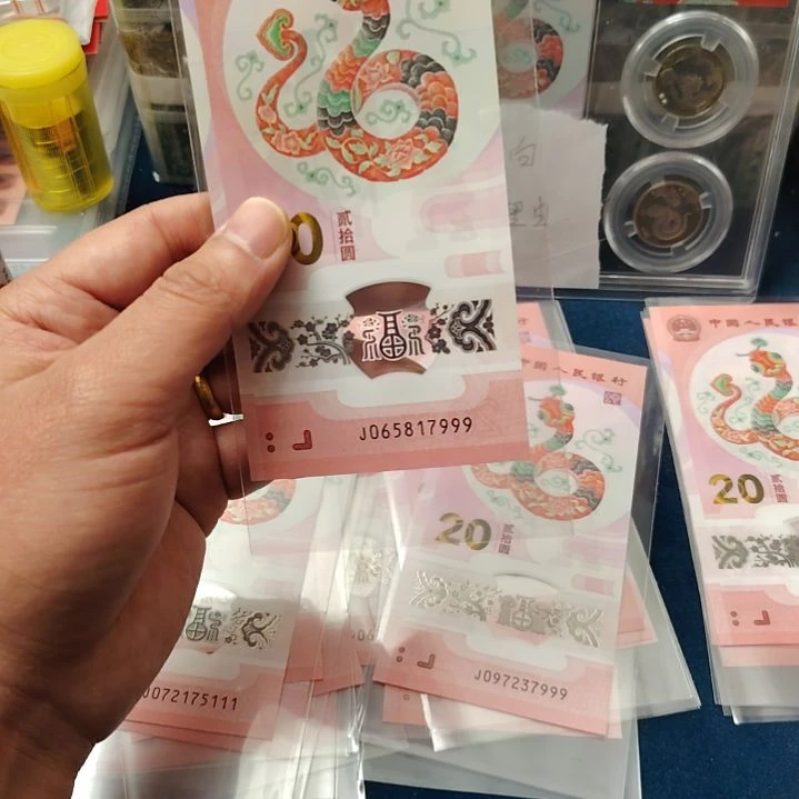 塑料蛇钞豹子号065817999