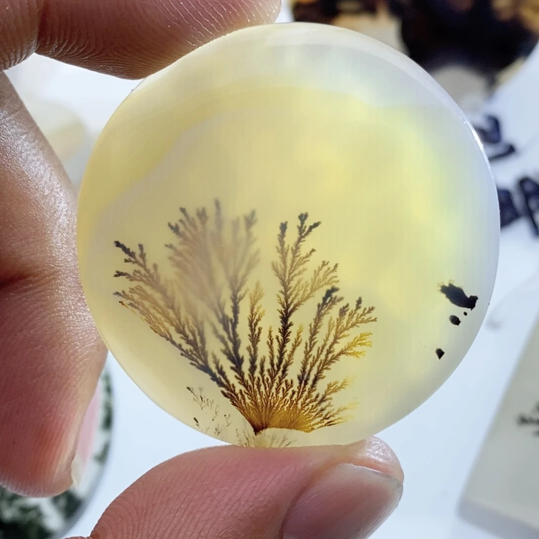 玛瑙/玉髓颈饰未镶嵌丫**?