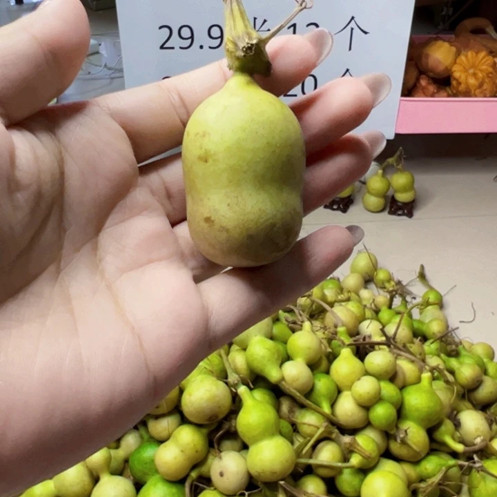 葫芦中国大陆是*