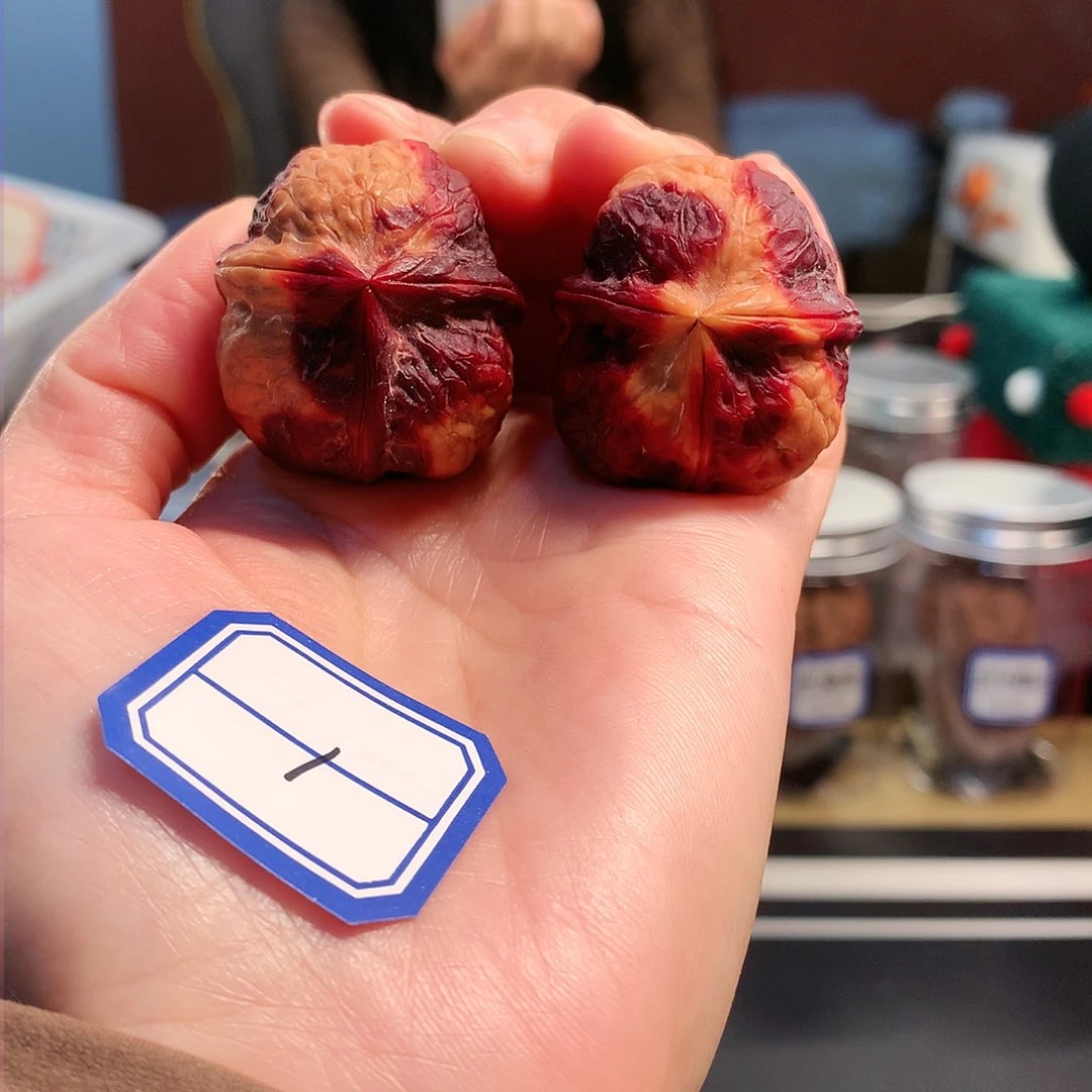 【闪购商品】吊坠文玩核桃七星纹三棱 33尺