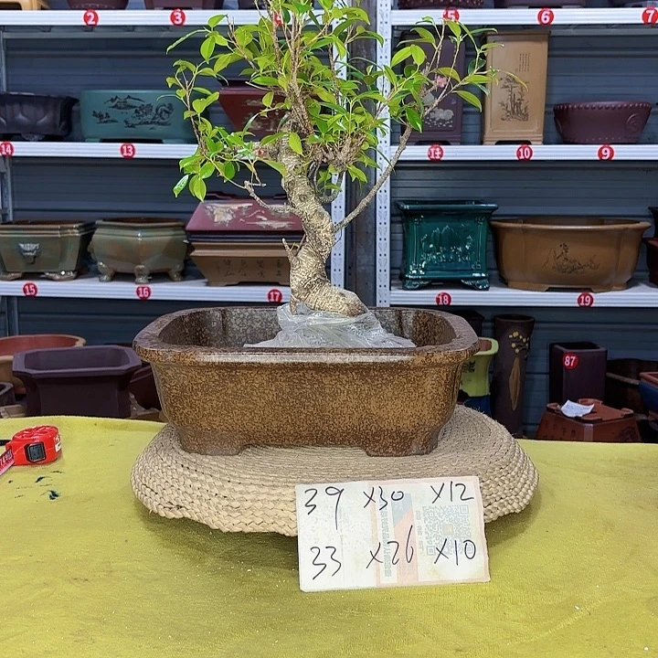 花盆紫砂宜兴紫砂厂