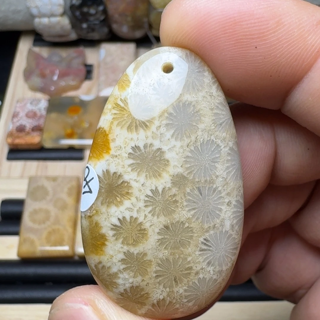 硅化玉未镶嵌纯天然色有机玉石保真色
