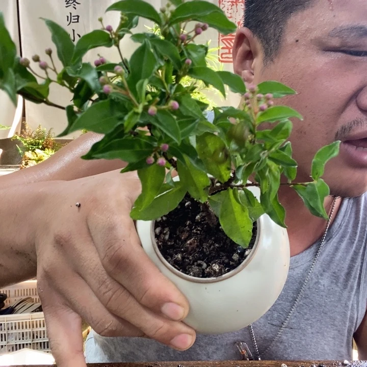 无花朵退款拉黑拉黑31