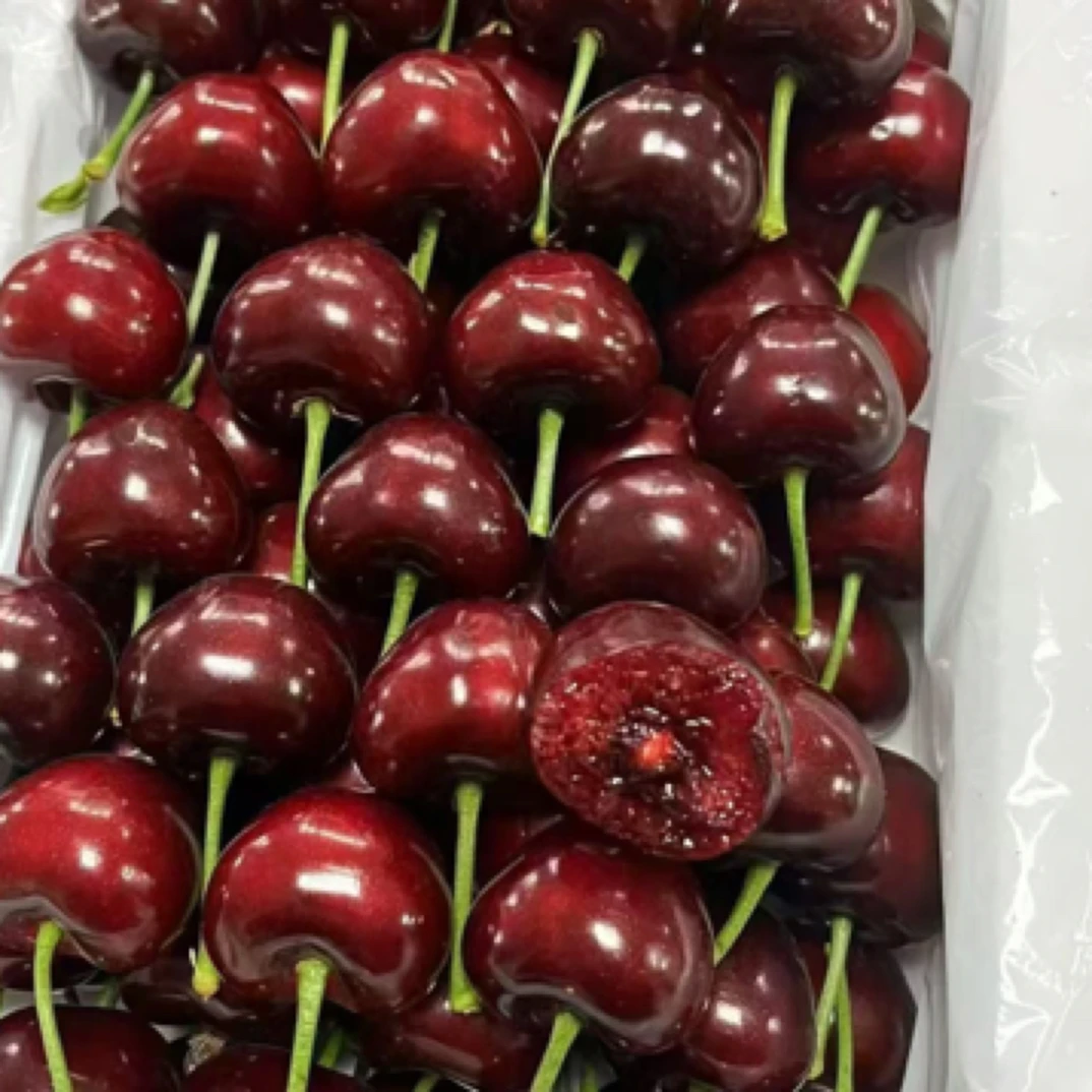 大连美早樱桃5J(毛重1.5斤)美早辽宁省