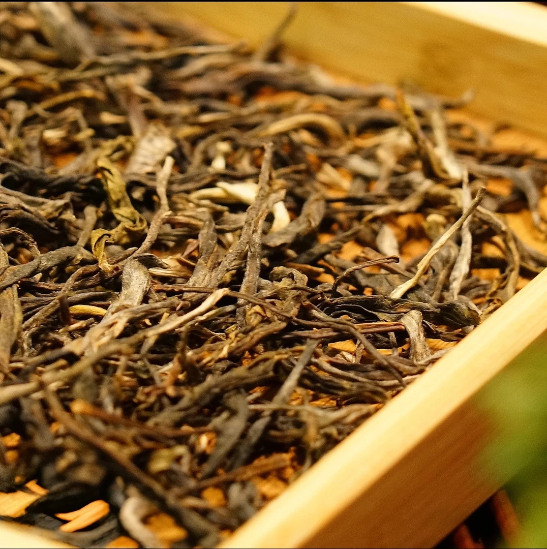 2024年下坝卡 古树春尾 散茶