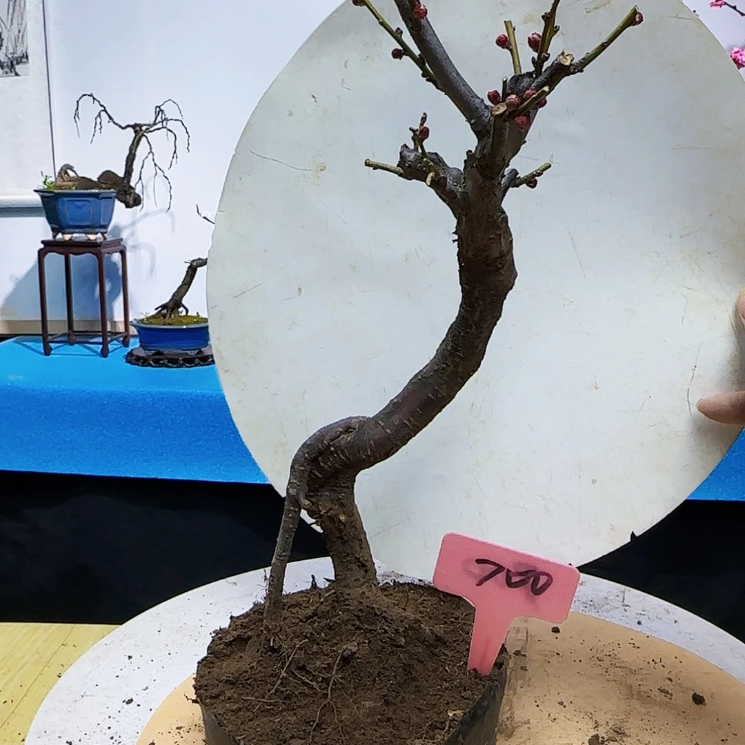 无铅玻璃用****7f g j k k l l