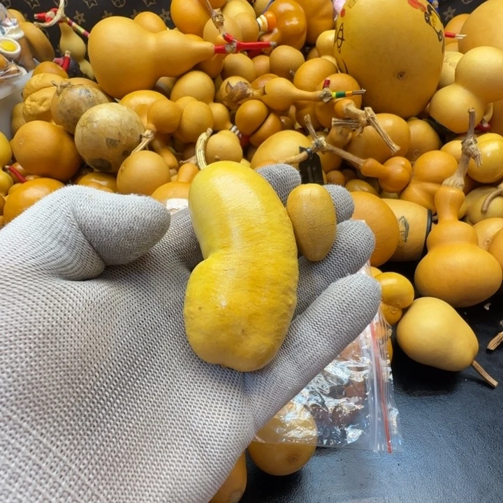 幽***涧哈哈哈哈哈哈哈哈哈哈哈哈