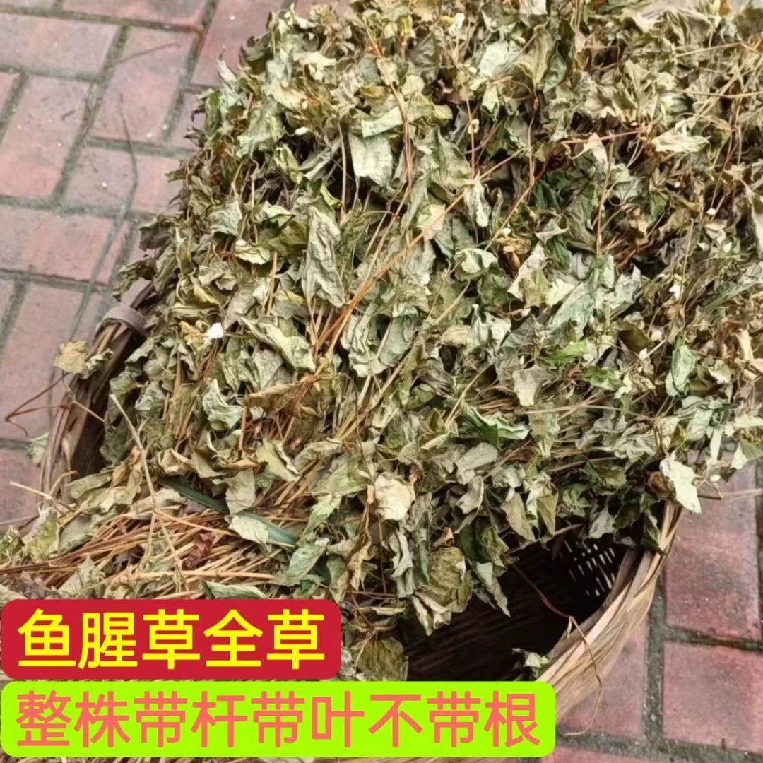 鱼腥草农户自晒自留深山无硫鱼腥草整颗干货折耳根煮水 煲汤食材