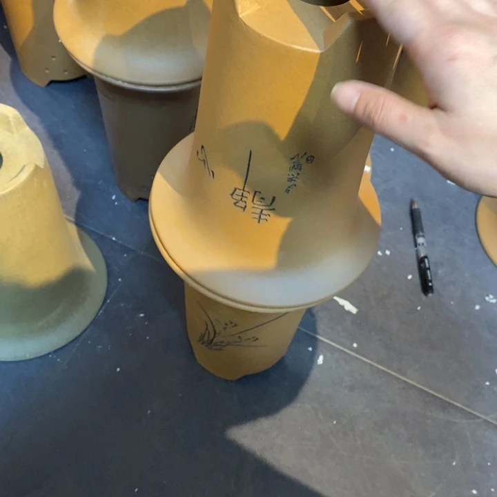 紫砂花盆用****1福利来啦