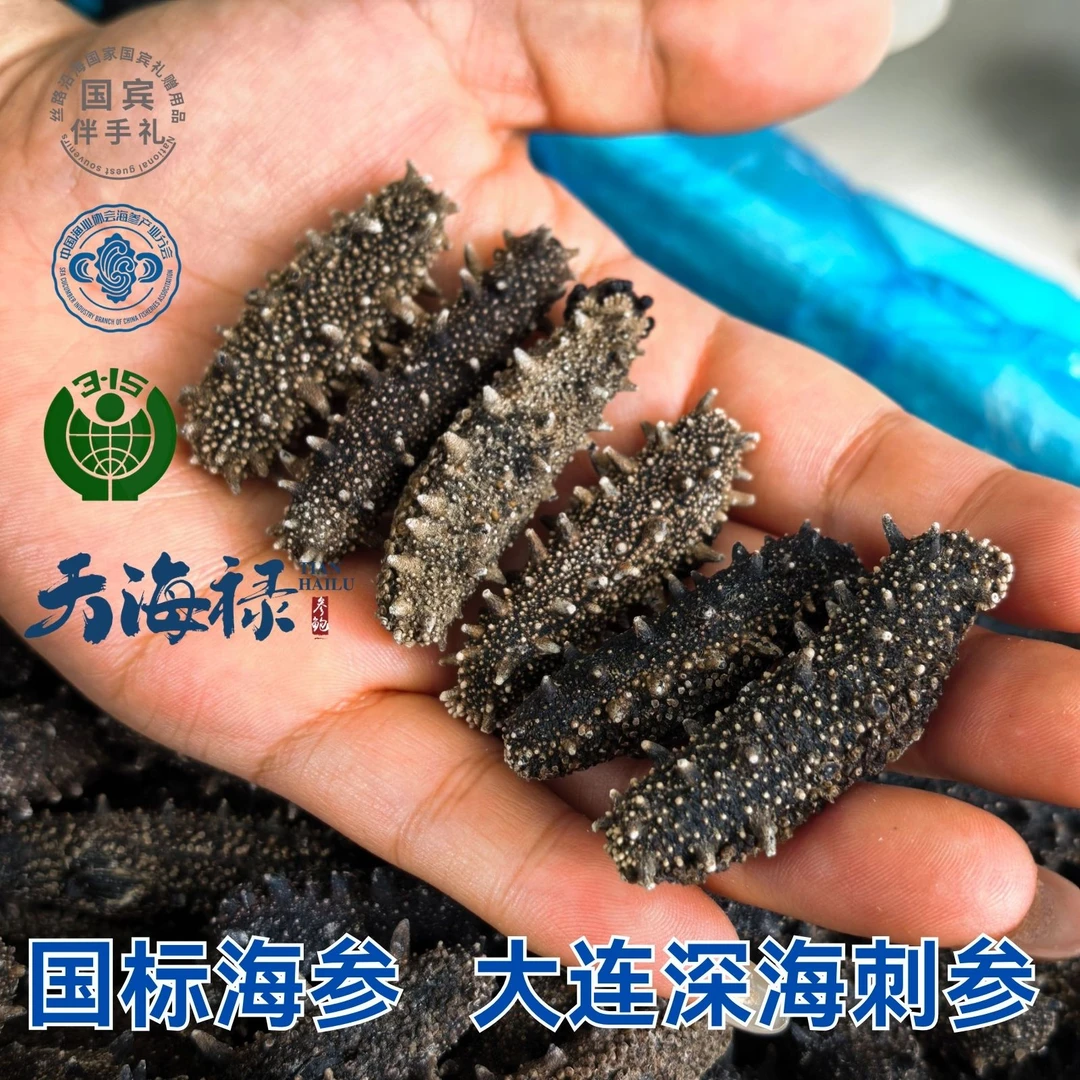 大连秋参110头/斤 天海禄国标纯淡纯日晒干海参大连辽刺参怅海县