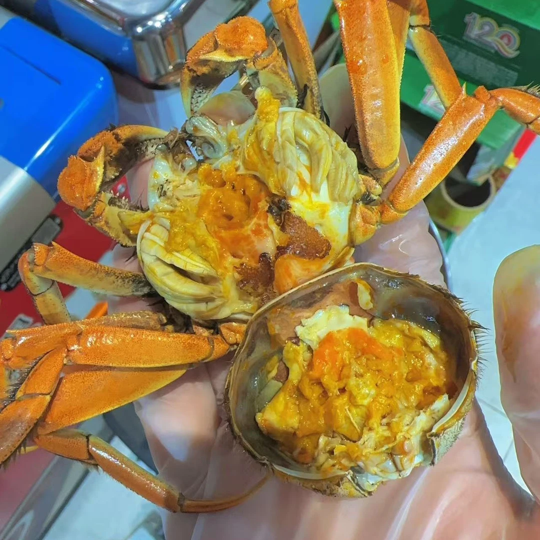 正宗盘锦河蟹活蟹母蟹每只一两左右