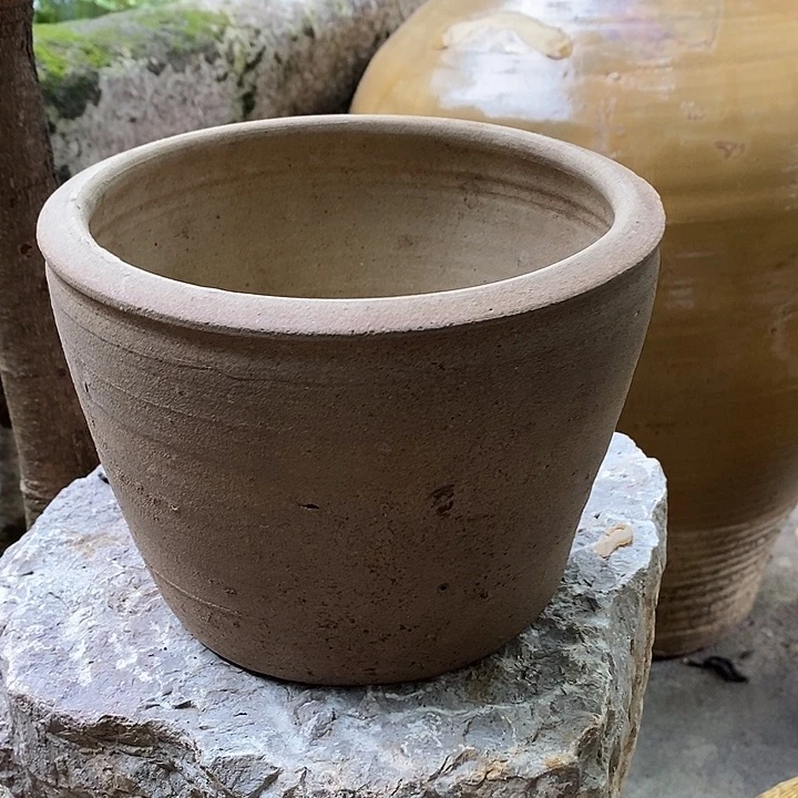 无花朵玫瑰花玫瑰花玫瑰花玫瑰花